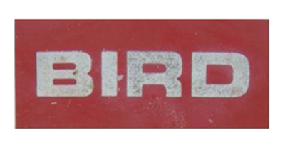 Bird